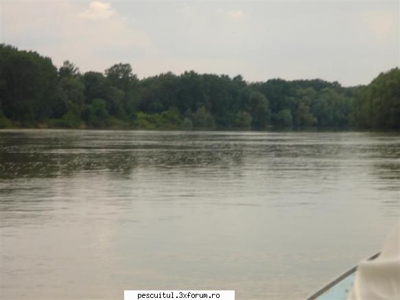 ,, Spectacolul " ECO ARA 2010 - In fotografii - Modigliani - POZELE MELE - PESCUIT