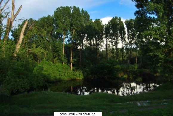 ,, Spectacolul " ECO ARA 2010 - In fotografii - Modigliani - POZELE MELE - PESCUIT