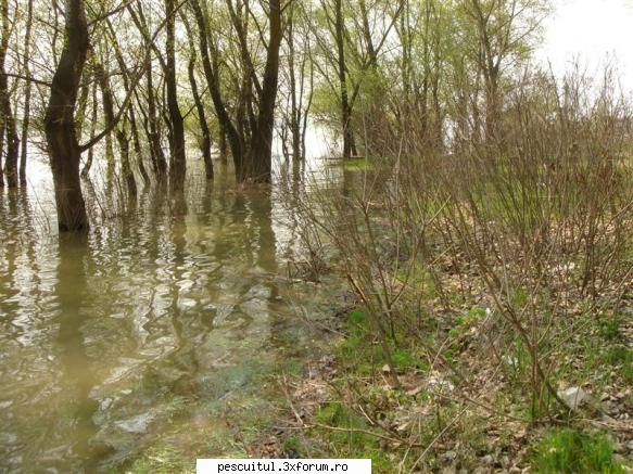Sperante ....... - inca o data ! Ne-a venit rau ! Refuzam sa credem - PESCUIT LA DUNARE SI IN DELTA DUNARII