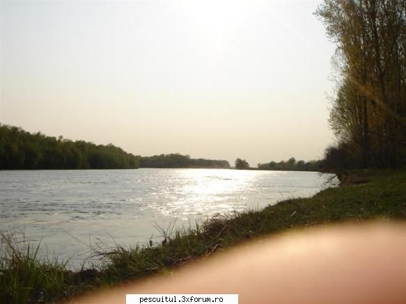 Sperante ....... - anul trecut coboram 8 metri pana la lansete - PESCUIT LA DUNARE SI IN DELTA DUNARII