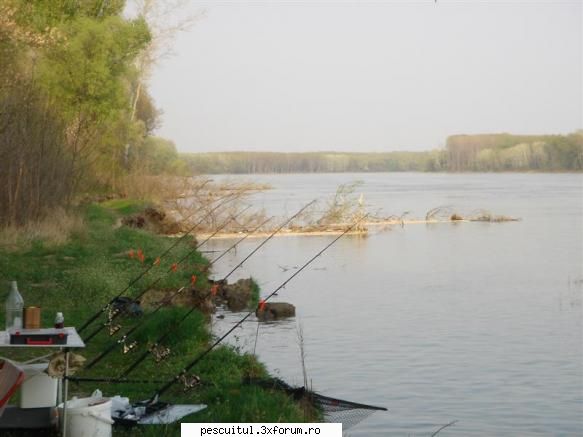 Sperante ....... - Ok ! Unde dracu e crapul ala ? In atata apa si - PESCUIT LA DUNARE SI IN DELTA DUNARII