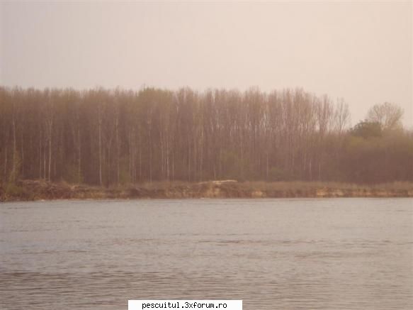 Sperante ....... - sa revenim la ,, Sperante " ! Iar nu ne-a iesit ! - PESCUIT LA DUNARE SI IN DELTA DUNARII