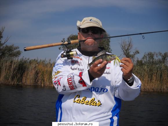 Stiuca la spinnerbait - Si unul mic si bataios - PESCUIT - SPINING