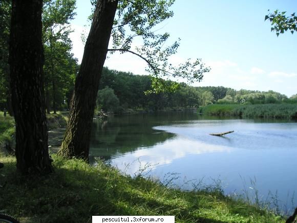 VALY , si nu numai , in PEISAJE - argesul , langa pitesti - POZELE MELE - PESCUIT