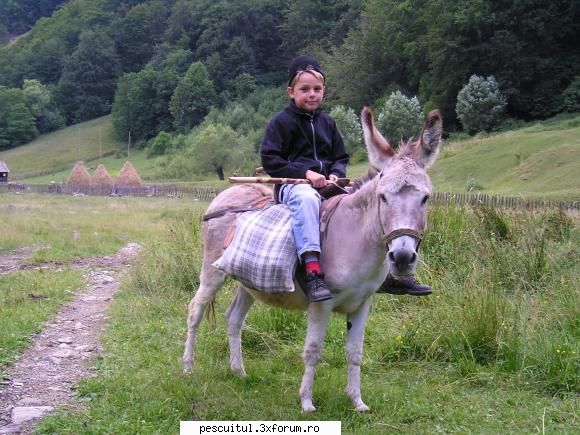 VALY , si nu numai , in PEISAJE - un magar putere - POZELE MELE - PESCUIT