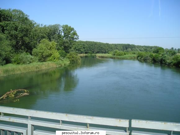 VALY , si nu numai , in PEISAJE - ALEX ! la Iesire din Pitesti in paduricea dupa - POZELE MELE - PESCUIT