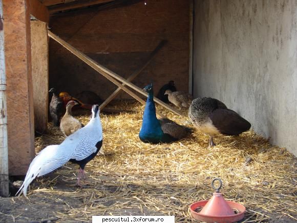 VALY , si nu numai , in PEISAJE - valy - POZELE MELE - PESCUIT