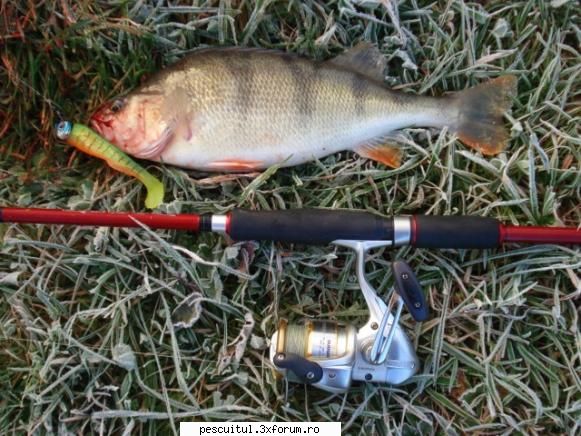 VALY , si nu numai , in PEISAJE - Asta-i cel mai tare Shad 10cm-jigg 28gr - POZELE MELE - PESCUIT