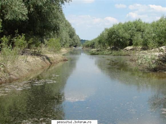 VALY , si nu numai , in PEISAJE - Cand va creste Dunarea aici va fi - POZELE MELE - PESCUIT