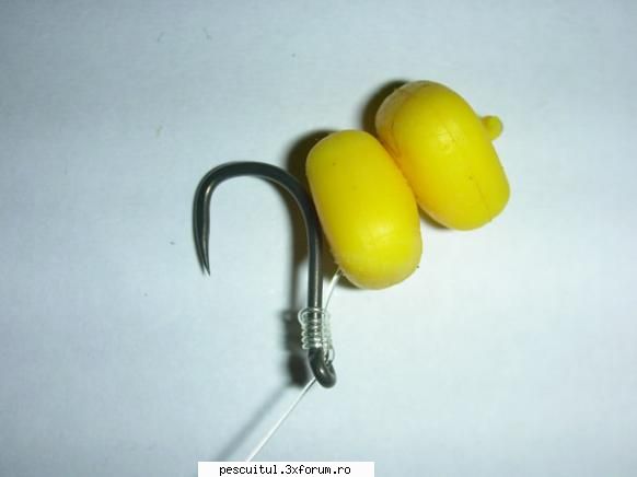Zig Rig pentru crap - Un rig pentru crap - Zig Rig Varianta cu boabe - ECHIPAMENTE SI ACCESORII PENTRU CRAP