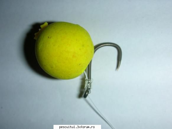 Zig Rig pentru crap - Si varianta pentru boilies... Mai multe amanunte - ECHIPAMENTE SI ACCESORII PENTRU CRAP