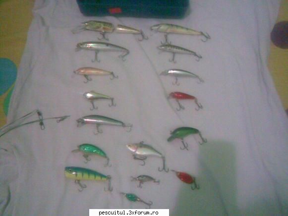 accesorii - Mihnea - SCULELE SI ECHIPAMENTELE NOASTRE DE PESCUIT