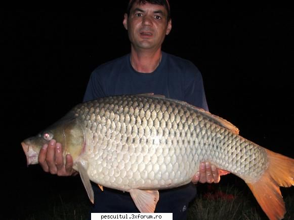 capturi moara vlasiei2 - super captura prinsa la boiles matrix1 bila de - POZELE MELE - PESCUIT