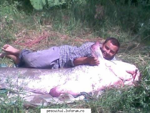 capturile mele la DABULENI - somn prins in zona unde pescui - POZELE MELE - PESCUIT