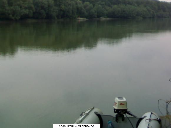 capturile mele la DABULENI - locul unde am pescuit - POZELE MELE - PESCUIT