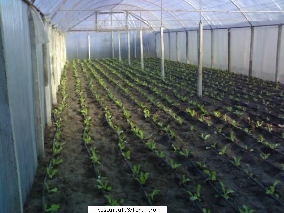 capturile mele la DABULENI - aici e de discutat solarul meu e innalt de 4 m si - POZELE MELE - PESCUIT
