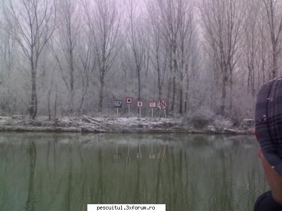 capturile mele la DABULENI - Fugi bre de-aici ca e trucaj! nu bre , nu e am - POZELE MELE - PESCUIT