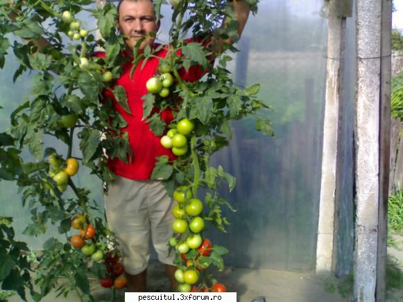 capturile mele la DABULENI - la 2000mp de solar nu pot sa fiu mic,ce dracu - POZELE MELE - PESCUIT