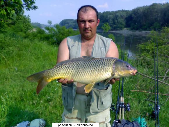 capturile mele la DABULENI - ce dracu sa prinzi bre pe c0 carasei in curu gol - POZELE MELE - PESCUIT
