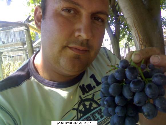 capturile mele la DABULENI - stau si ma gandesc oare ce vin v-a iesi din - POZELE MELE - PESCUIT