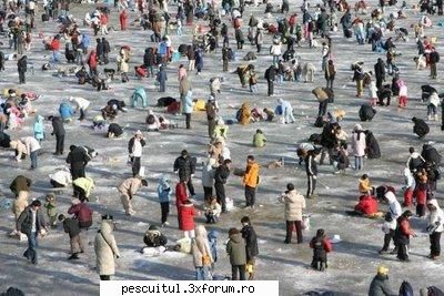 ce ati prins astazi? - Uite cum sunt aia ! - DISCUTII DIVERSE DESPRE PESCUIT