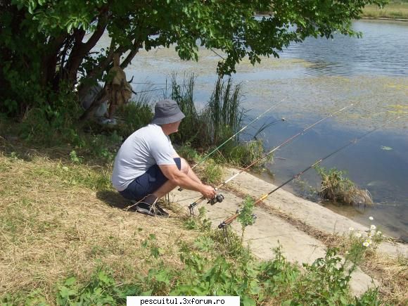 cumpar lansete Germina - Germina de 2.10 ultima din stanga - BAZAR PESCAR - VANZARI , CUMPARARI