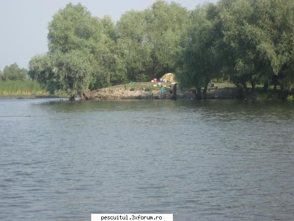 delta 29.06 - papy - POZELE MELE - PESCUIT