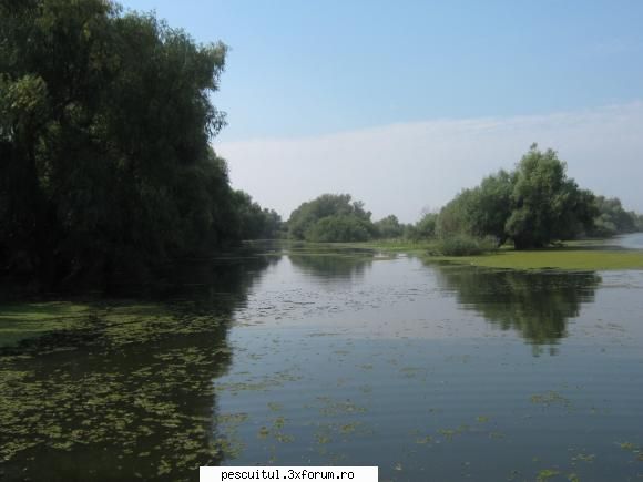 delta 29.06 - canal sireasa la intrarea in lacul cu cotete - POZELE MELE - PESCUIT