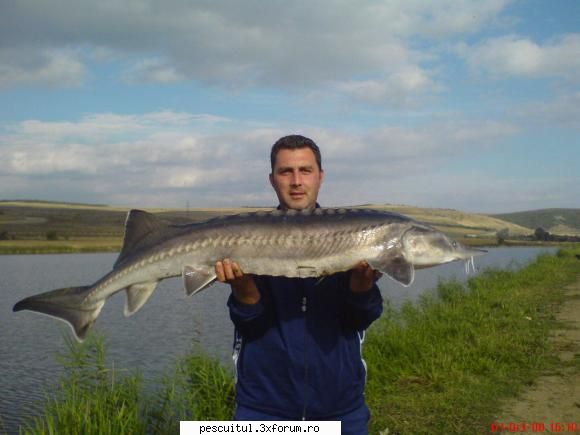 dupa salau - am fost la o balta dupa salau si am prins 3 salai - POZELE MELE - PESCUIT