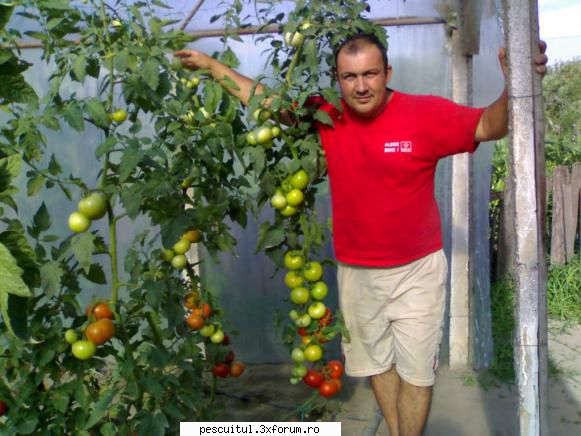 ferma curcani - totul depinde de tine ,,,,,, daca vrei sa mananci - BAZAR PESCAR - VANZARI , CUMPARARI