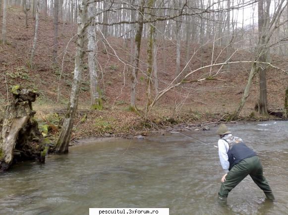 fly fishing la nimfa pe rauri mici de munte - Dupa ei prin apa - PESCUIT - FLY FISHING