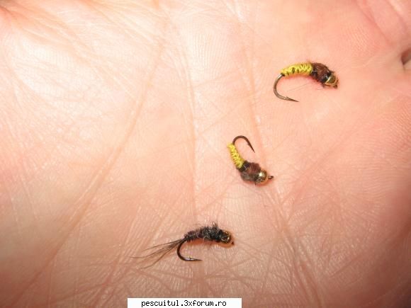 fly fishing la nimfa pe rauri mici de munte - Nimfele prinzatoare - PESCUIT - FLY FISHING
