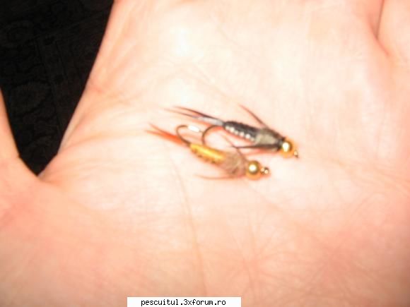 fly fishing la nimfa pe rauri mici de munte - Niste nimfe foarte bine facute - PESCUIT - FLY FISHING