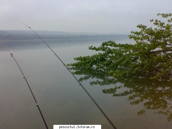 from danube with love.. - Vedeti varga din dreapta imaginii? Dupa poza - POZELE MELE - PESCUIT