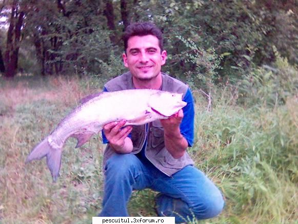 from danube with love.. - 2005, avat 3,..kg - POZELE MELE - PESCUIT