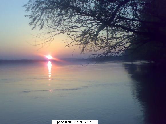 from danube with love.. - Orthrias - POZELE MELE - PESCUIT
