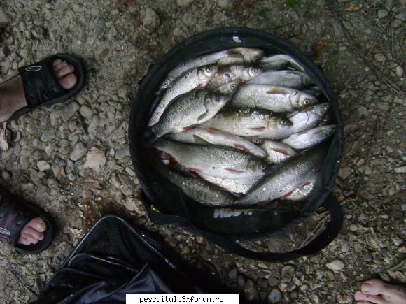 la scobar...toamna.... - Mihnea - PESCUITUL ALTOR SPECII DE PESTI