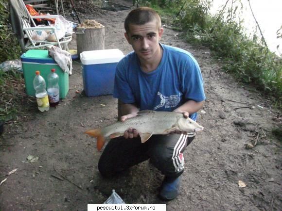 la scobar...toamna.... - Mreana are undeva la 2kg jumate ... asa cred - PESCUITUL ALTOR SPECII DE PESTI