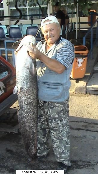 pescuit la dunare galati - un minunat somn de 20kg si 1,45m - POZELE MELE - PESCUIT