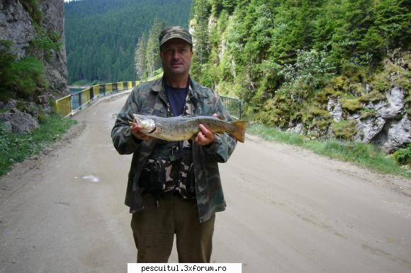 pescuit la munte - Pastrav indigen, 47cm, 1,660kg, nylon 0.20mm - PESCUIT LA RAPITORI - DISCUTII GENERALE