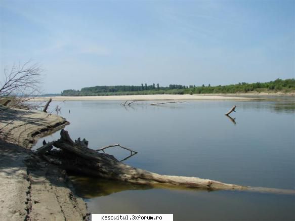 pescuit pe Dunare in zona TELEORMAN - Pe insula ,unde cand am dat de - PESCUIT LA DUNARE SI IN DELTA DUNARII