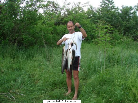 pescuit pe Dunare in zona TELEORMAN - Si cateva capturi - PESCUIT LA DUNARE SI IN DELTA DUNARII