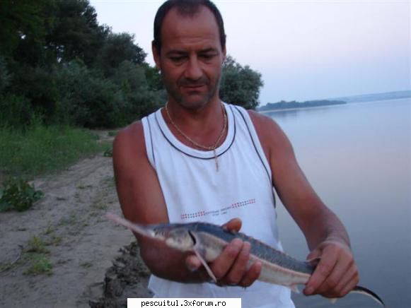 pescuit pe Dunare in zona TELEORMAN - Iata ci cega prinsa - PESCUIT LA DUNARE SI IN DELTA DUNARII