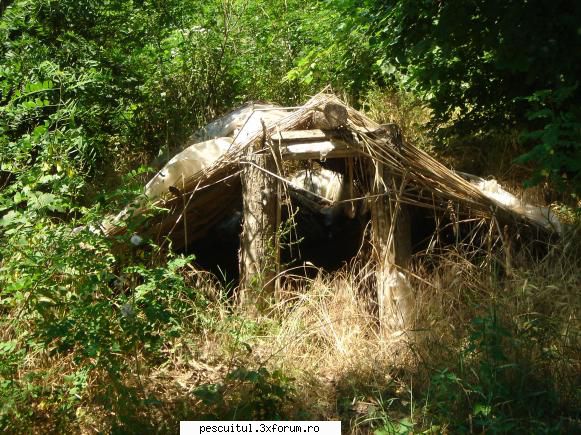 pescuit pe Dunare in zona TELEORMAN - Macar avem cazarea asigurata - PESCUIT LA DUNARE SI IN DELTA DUNARII