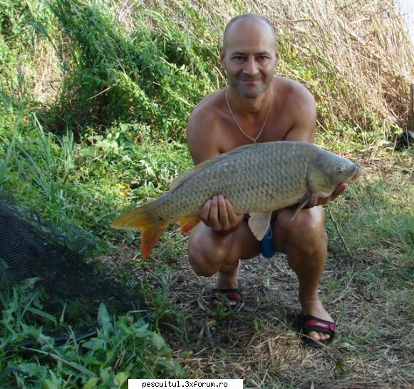 pescuit pe Dunare in zona TELEORMAN - Soarta noastra fu`sa cruda de - PESCUIT LA DUNARE SI IN DELTA DUNARII
