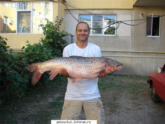 pescuit pe Dunare in zona TELEORMAN - A cam trecut ceva timp decand - PESCUIT LA DUNARE SI IN DELTA DUNARII