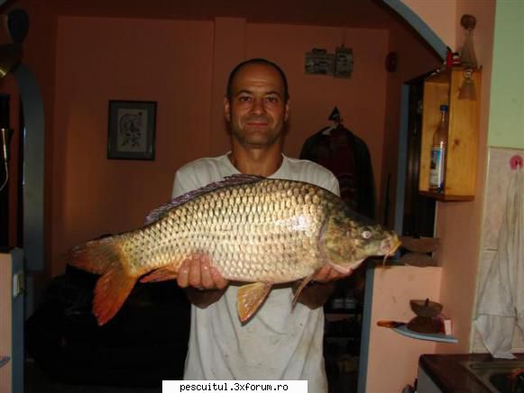pescuit pe Dunare in zona TELEORMAN - valy - PESCUIT LA DUNARE SI IN DELTA DUNARII