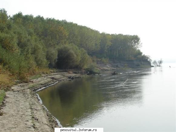 pescuit pe Dunare in zona TELEORMAN - Am ajuns si acasa .in sfarsit - PESCUIT LA DUNARE SI IN DELTA DUNARII