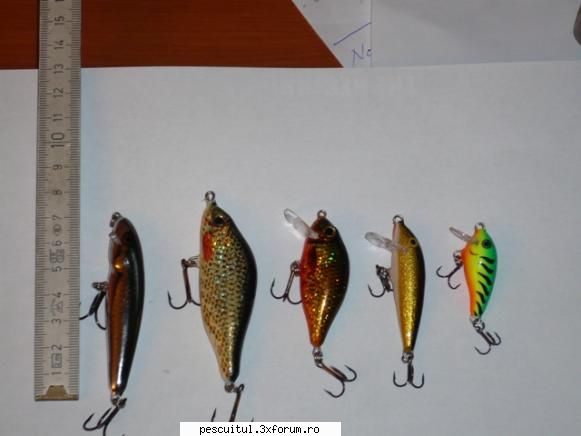 pescuit pe Olt - Cu ce am pescuit la spinning - JURNAL DE PARTIDA - POVESTIRI PE-NDELETE !