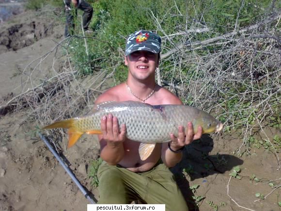 pescuit pe Siret - lovitura de gratie 5,5 kg - PESCUITUL PE RAURI (altele decat Dunarea)